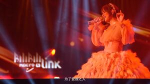 bilibili 　macro link 2021浜崎あゆみ　見れない 高画質　視聴　フルで見る方法